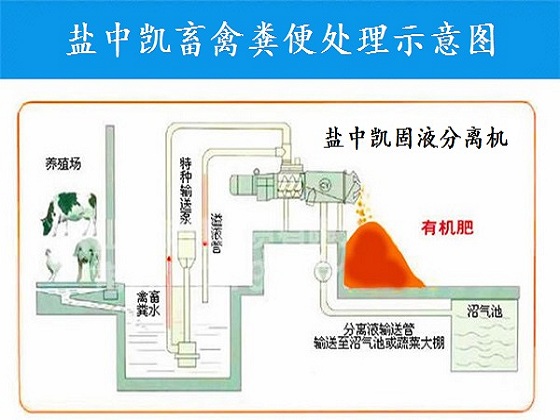 雞糞脫水機(jī)示意圖 雞糞脫水機(jī)示意圖